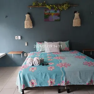 Akbal With Private Pool Apartment Bacalar